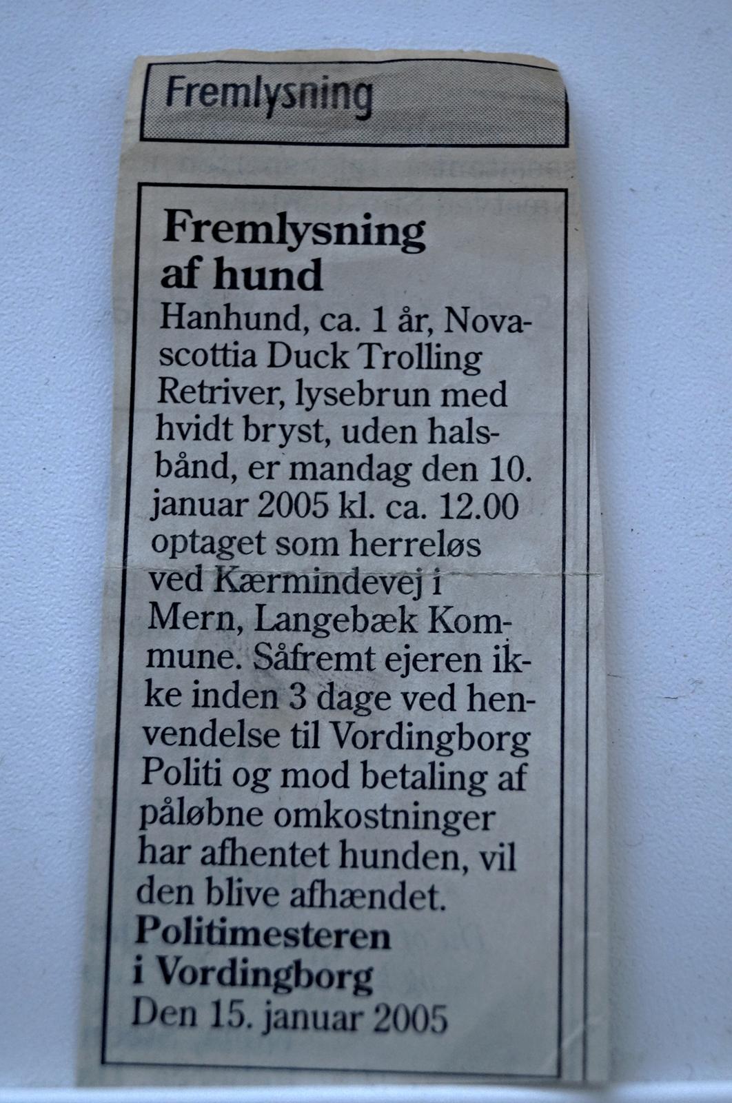 Nova scotia duck tolling retriever Marvin - Annoncen fra avisen om Marvin. 2005. billede 22