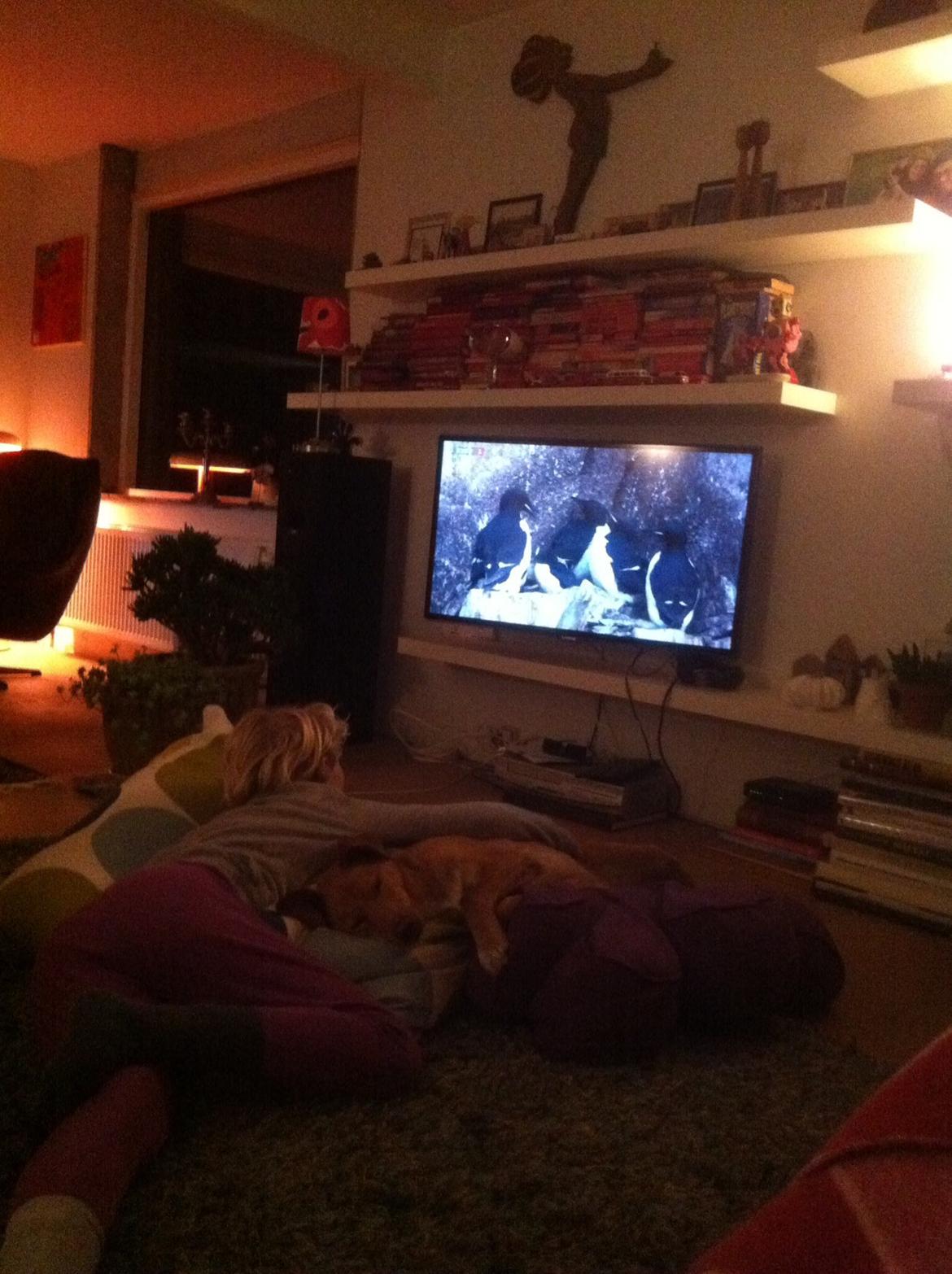 Blanding af racer Billy billede 21