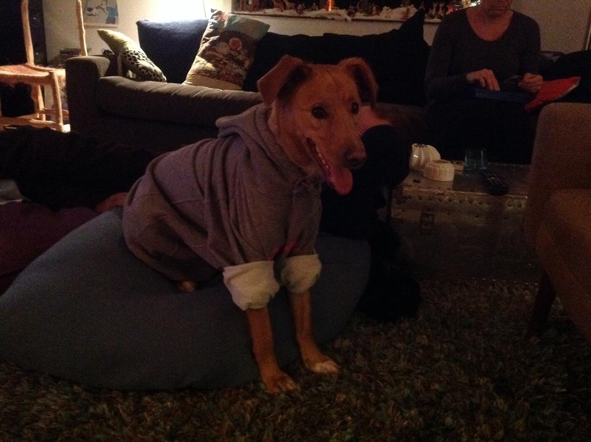 Blanding af racer Billy billede 13