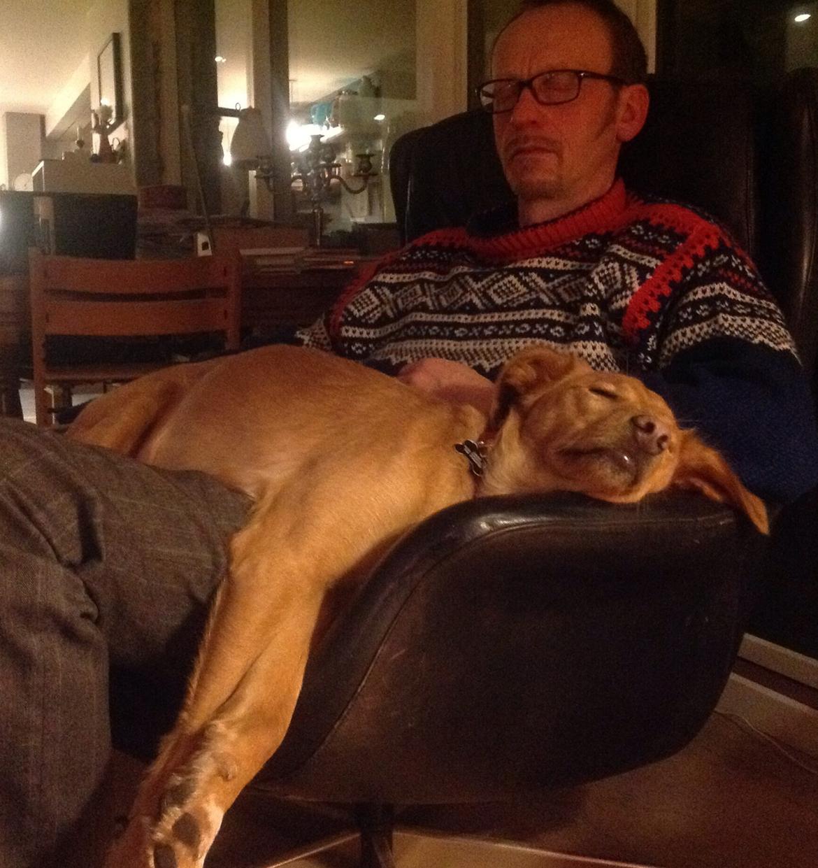 Blanding af racer Billy billede 18