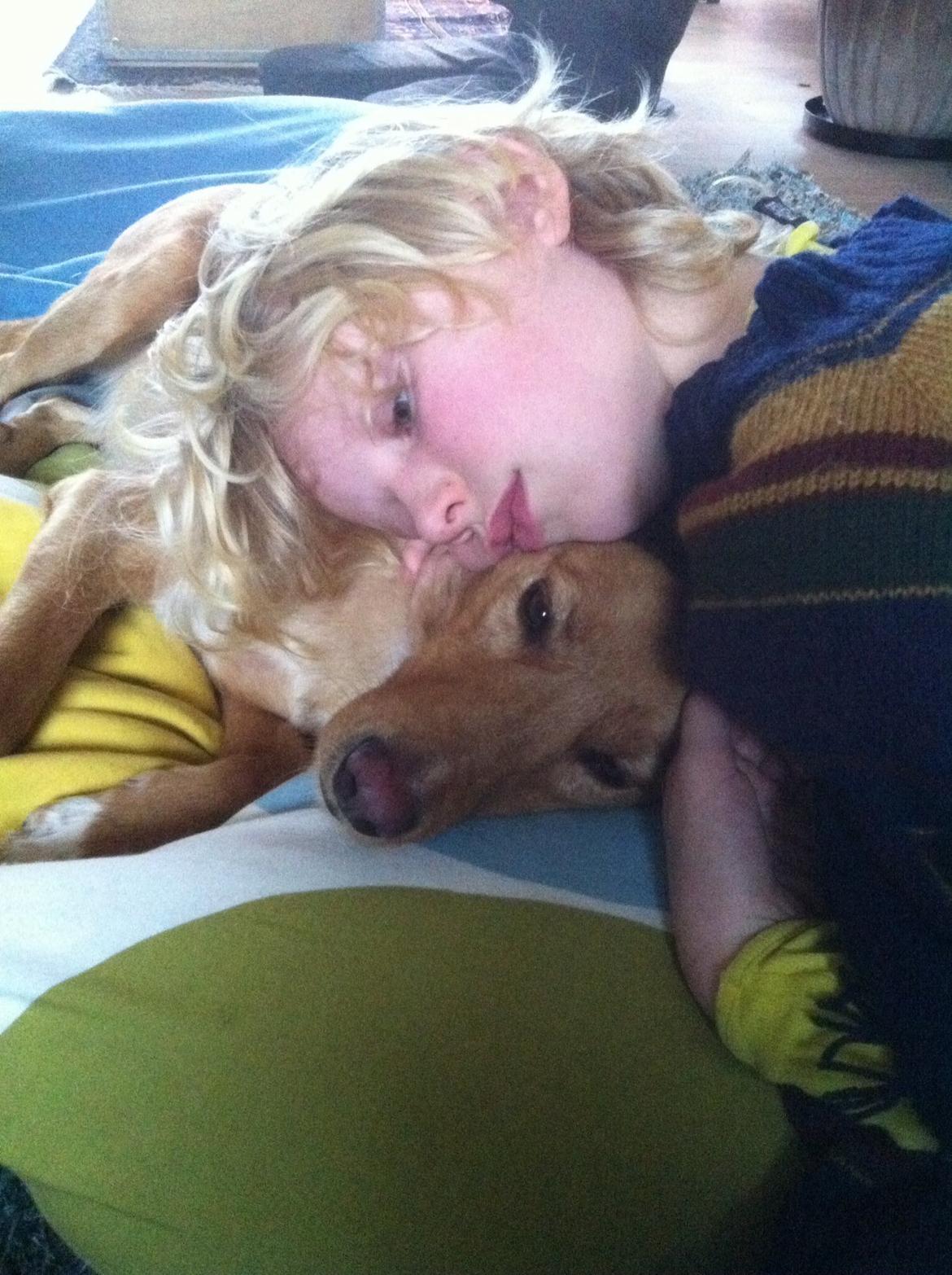 Blanding af racer Billy billede 20