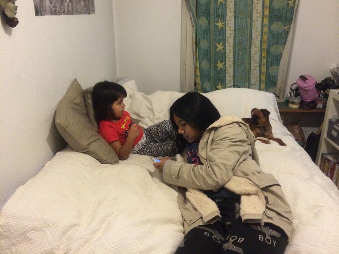 Griffon petit brabancon ONIKA - elizabeth,chantel og hund onika billede 6