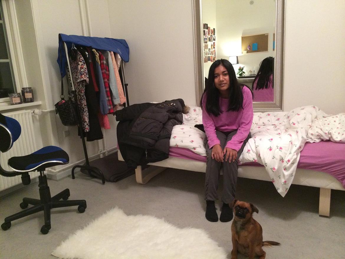 Griffon petit brabancon ONIKA - chantel og lillehund onika billede 11