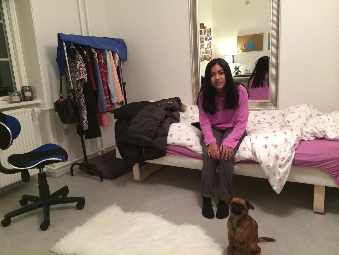 Griffon petit brabancon ONIKA - chantel og lille hund onika billede 9