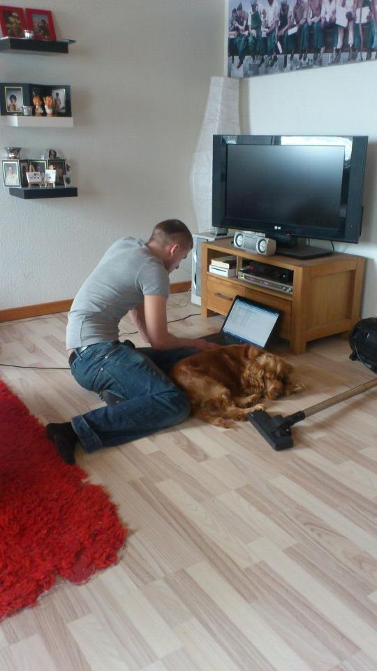 Cocker spaniel Nova - Nova har det bedst når hun er hvor 'far' er :-)! billede 4