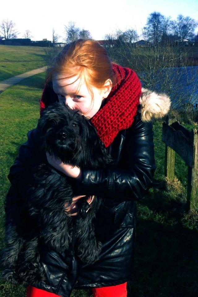 Blanding af racer Bølle billede 13