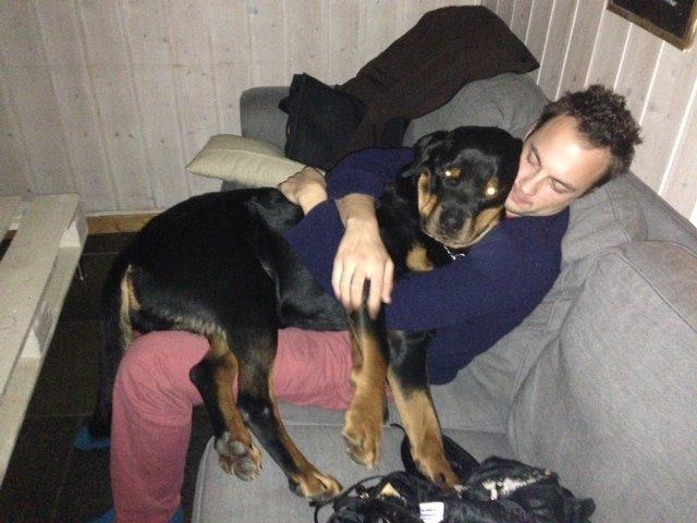 Rottweiler Schutzholmen`s Noble In aka "Noah" billede 9
