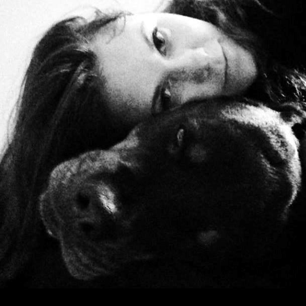 Rottweiler Schutzholmen`s Noble In aka "Noah" billede 24