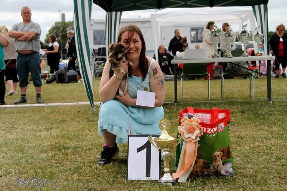 Chihuahua Ayumi Von Edertal - BIS 1, så stolt af min pige! billede 6