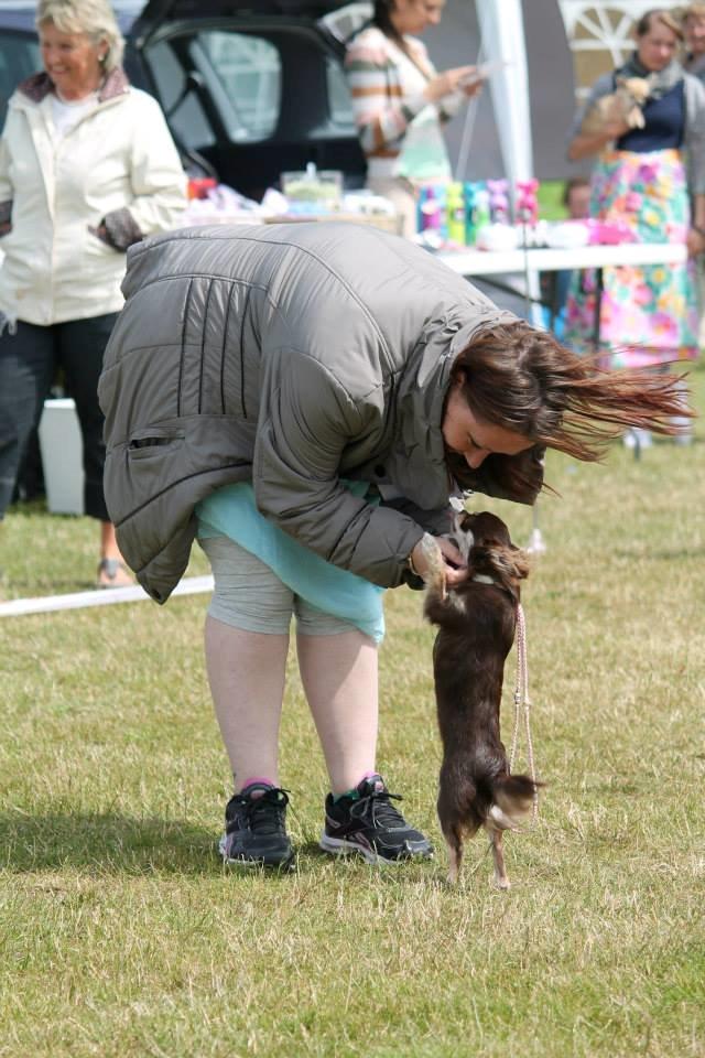 Chihuahua Ayumi Von Edertal billede 18