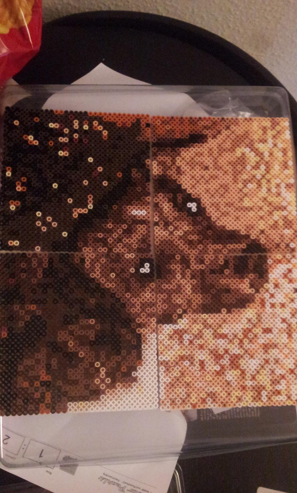 Blanding af racer coco - jeg har lavet dette billede i perler, af coco. :-) billede 38