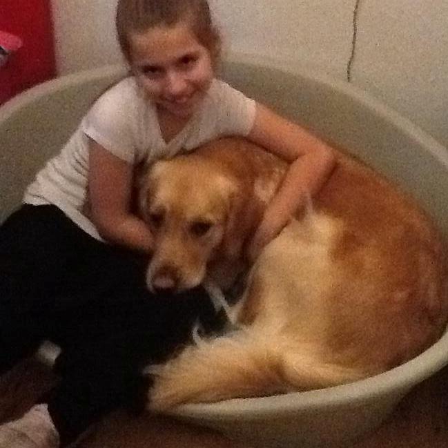 Blanding af racer bella billede 1