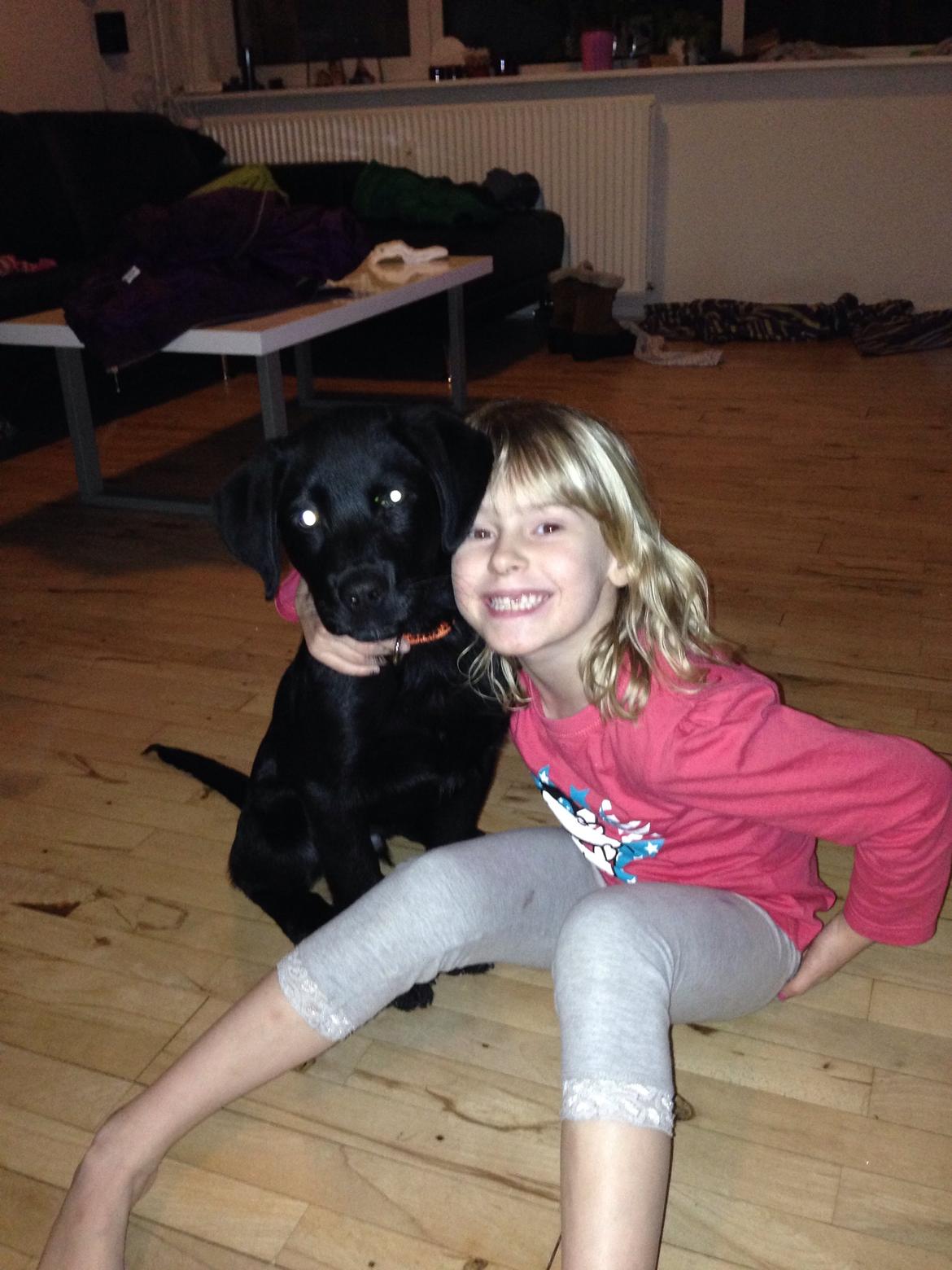 Blanding af racer sofus billede 8