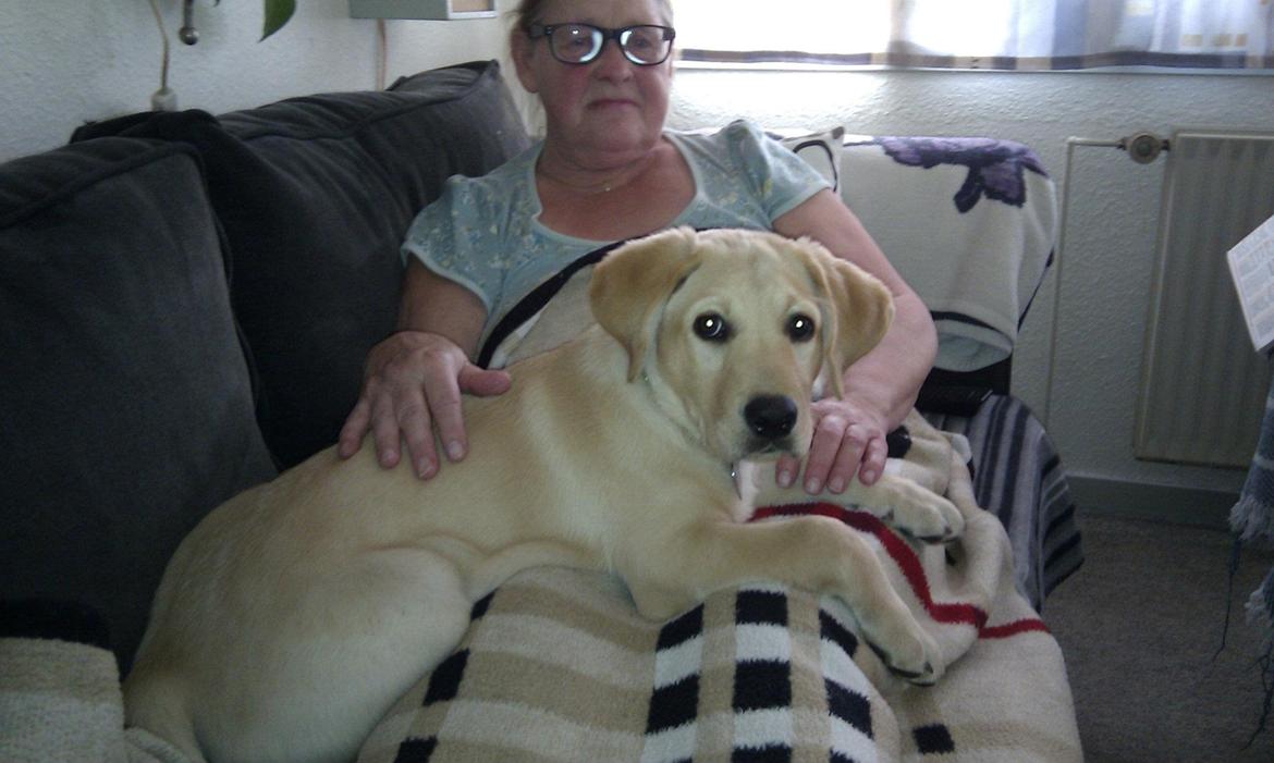 Blanding af racer cosmo billede 8