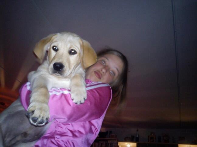 Blanding af racer cosmo billede 26