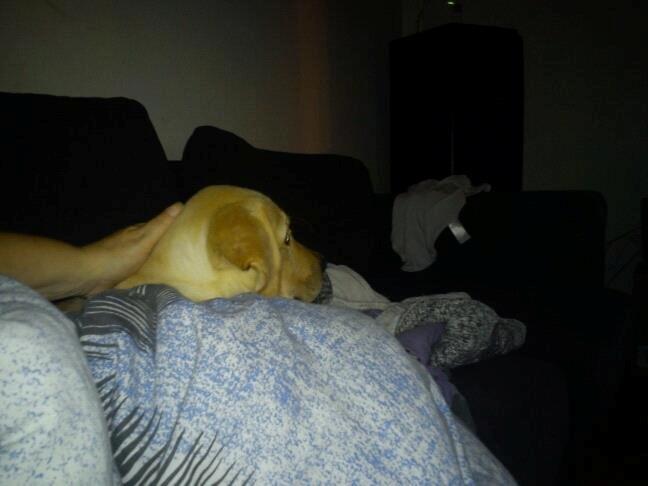 Blanding af racer cosmo billede 28