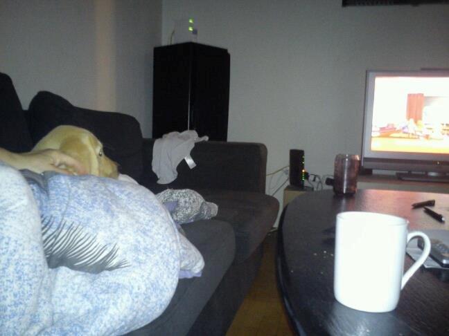 Blanding af racer cosmo billede 30