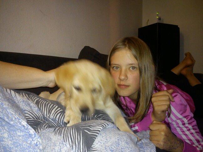 Blanding af racer cosmo billede 36