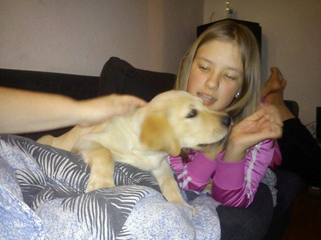 Blanding af racer cosmo billede 41