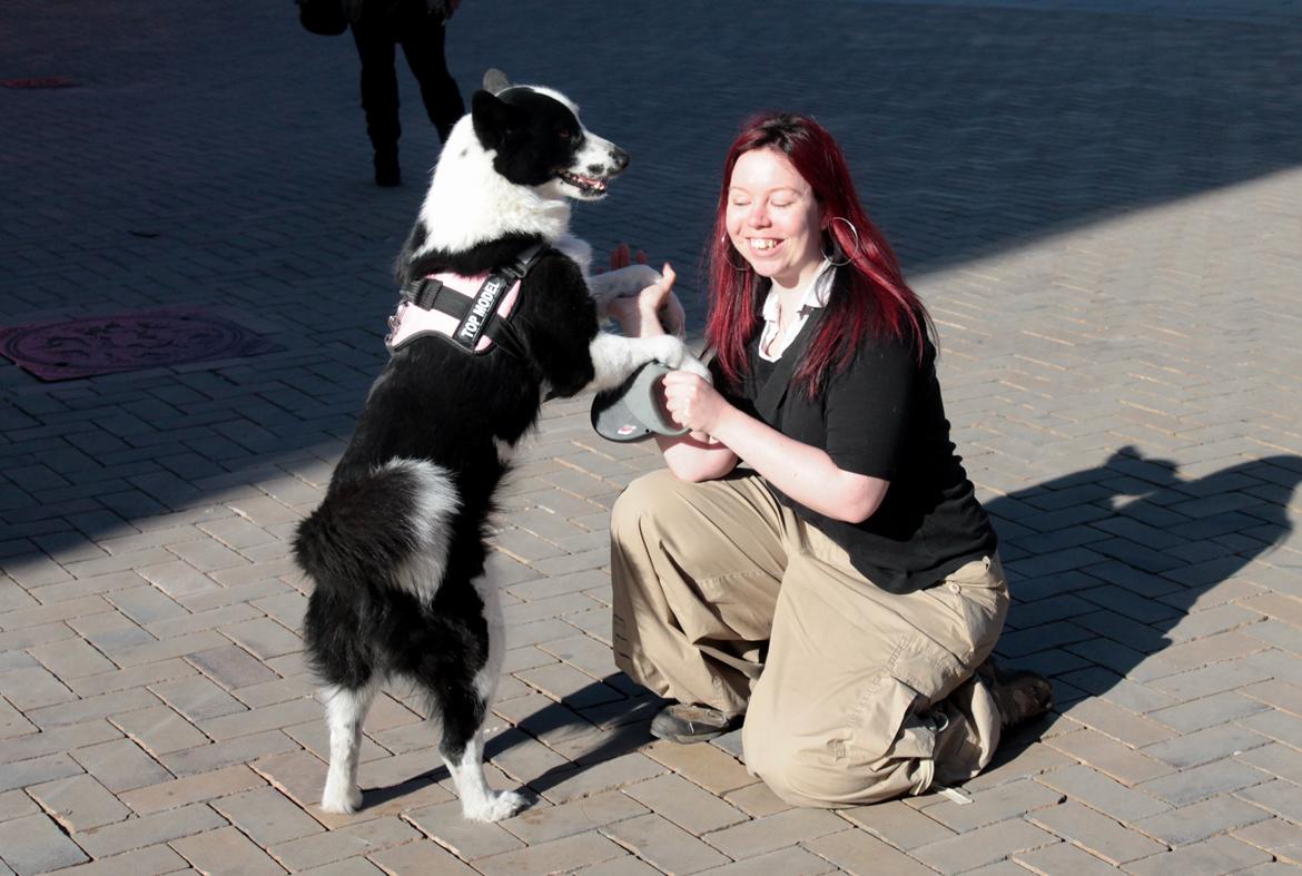 Karelsk bjørnehund Fifi - R.I.P. - 29) Fifi og jeg til demo i Odense mod hundeloven - Fotograf: Michael Rytter billede 28