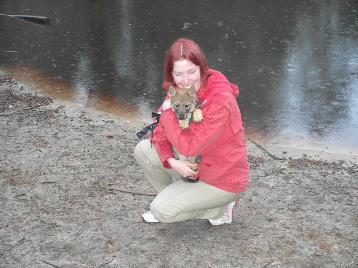 Västgötaspids Yuki <3 <3 (Clasus Miller). - Yuki og mig for første gang i hundeskoven sammen <3 20 feb 2014 billede 17
