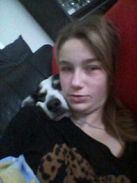 Alaskan husky Leika billede 2