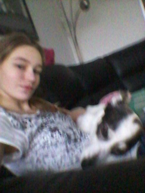 Alaskan husky Leika billede 10