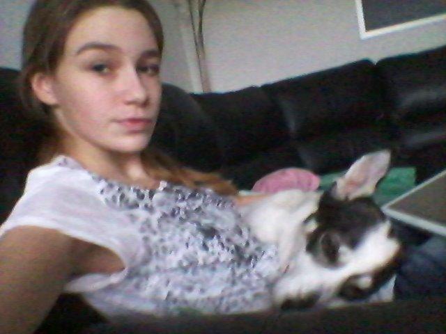 Alaskan husky Leika billede 12