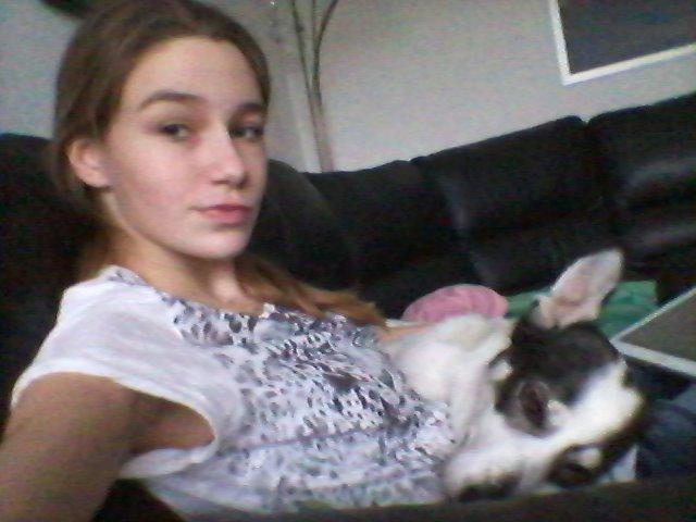 Alaskan husky Leika billede 11