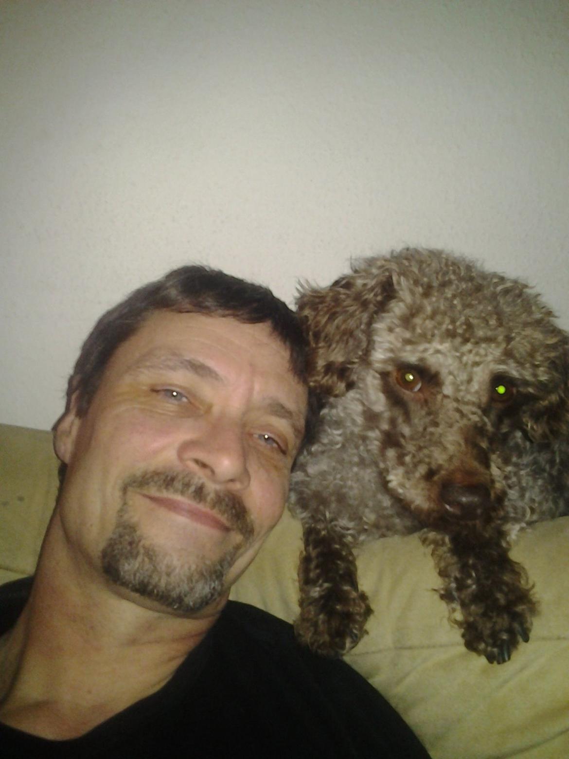 Blanding af racer Balou billede 5