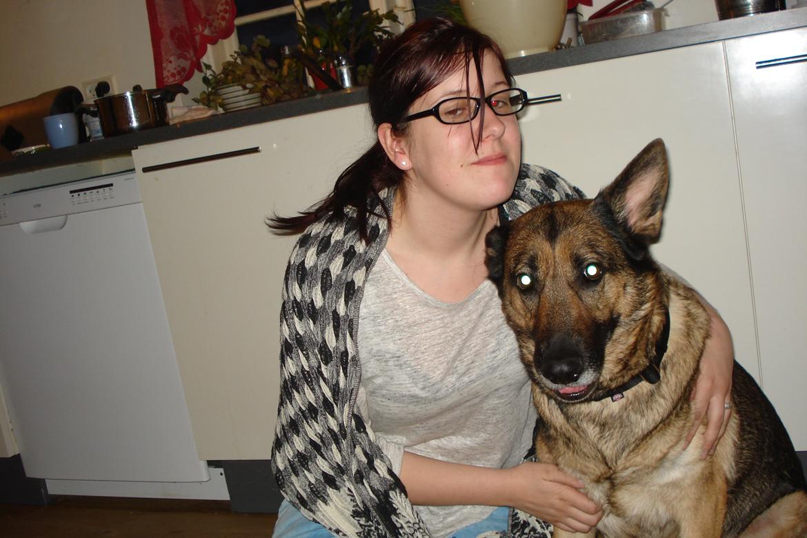 Schæferhund Jackie * Sofavovsen* billede 19