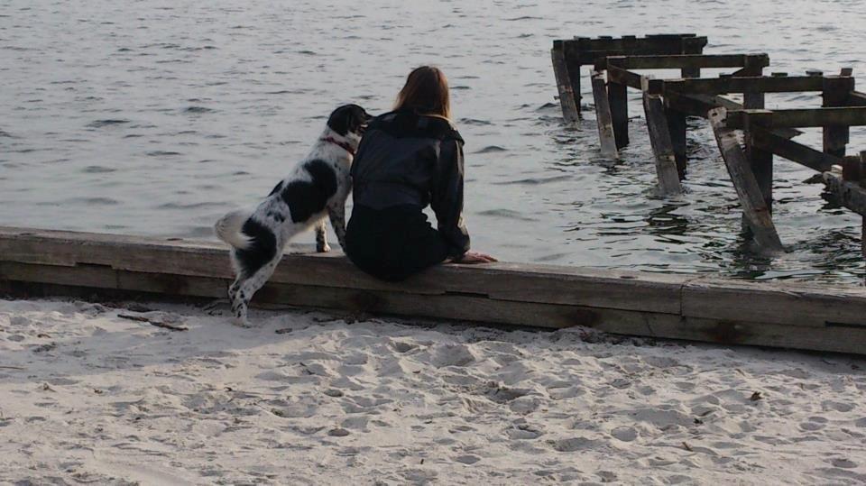 Blanding af racer Molly billede 4