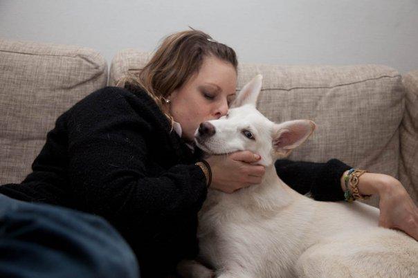 Blanding af racer Cherokee/Dutten billede 2