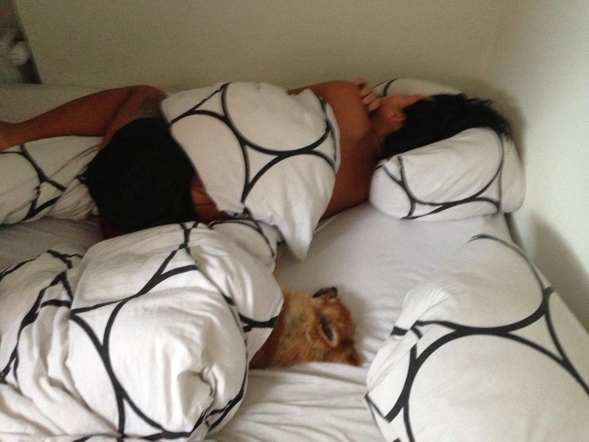 Blanding af racer Silas billede 18