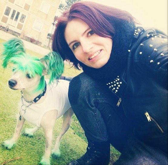 Chinese crested hårløs Spooky billede 30