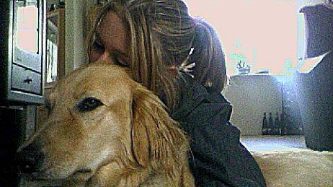 Blanding af racer Dingo billede 1