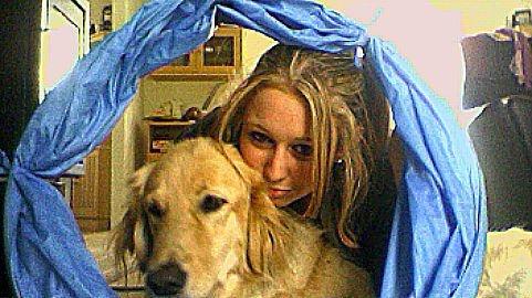 Blanding af racer Dingo billede 6