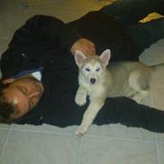 Blanding af racer Luna