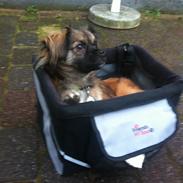 Blanding af racer Milo