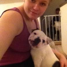 Fransk bulldog Ronja røver'datter