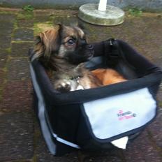 Blanding af racer Milo