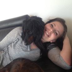 Gravhund Elvis