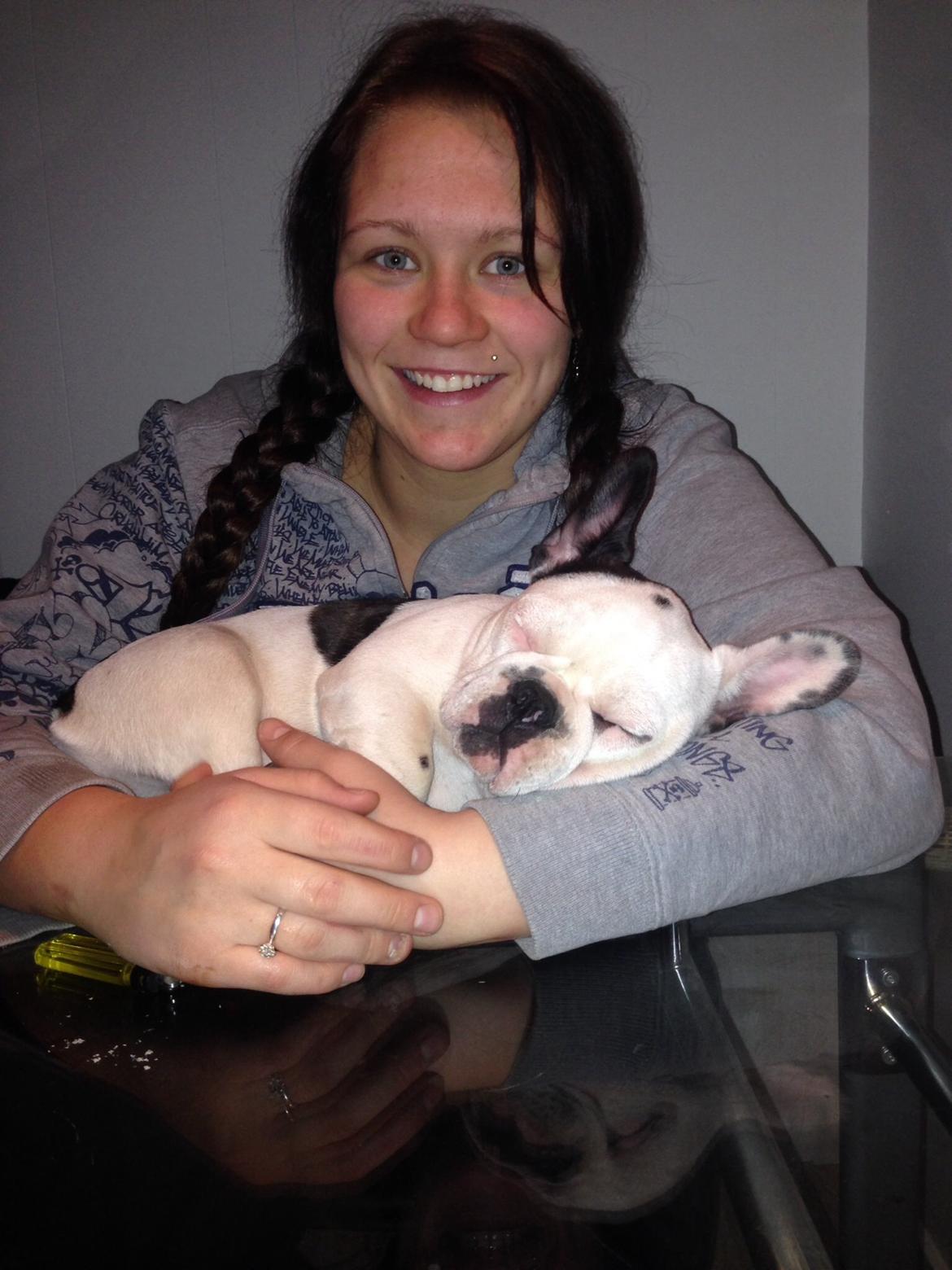 Fransk bulldog Ronja røver'datter billede 1