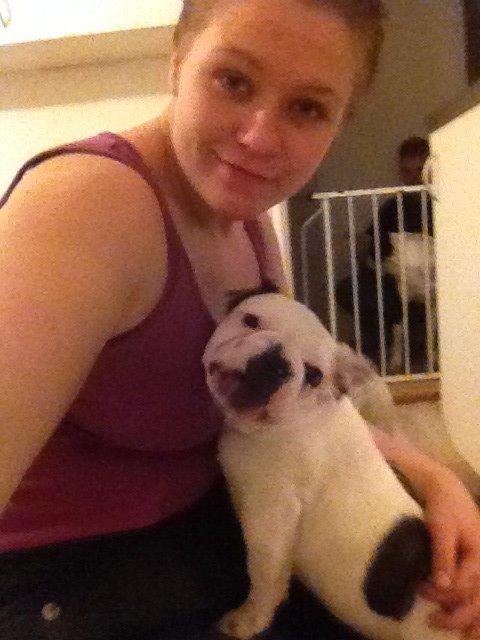 Fransk bulldog Ronja røver'datter billede 3