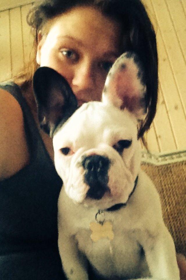 Fransk bulldog Ronja røver'datter billede 9