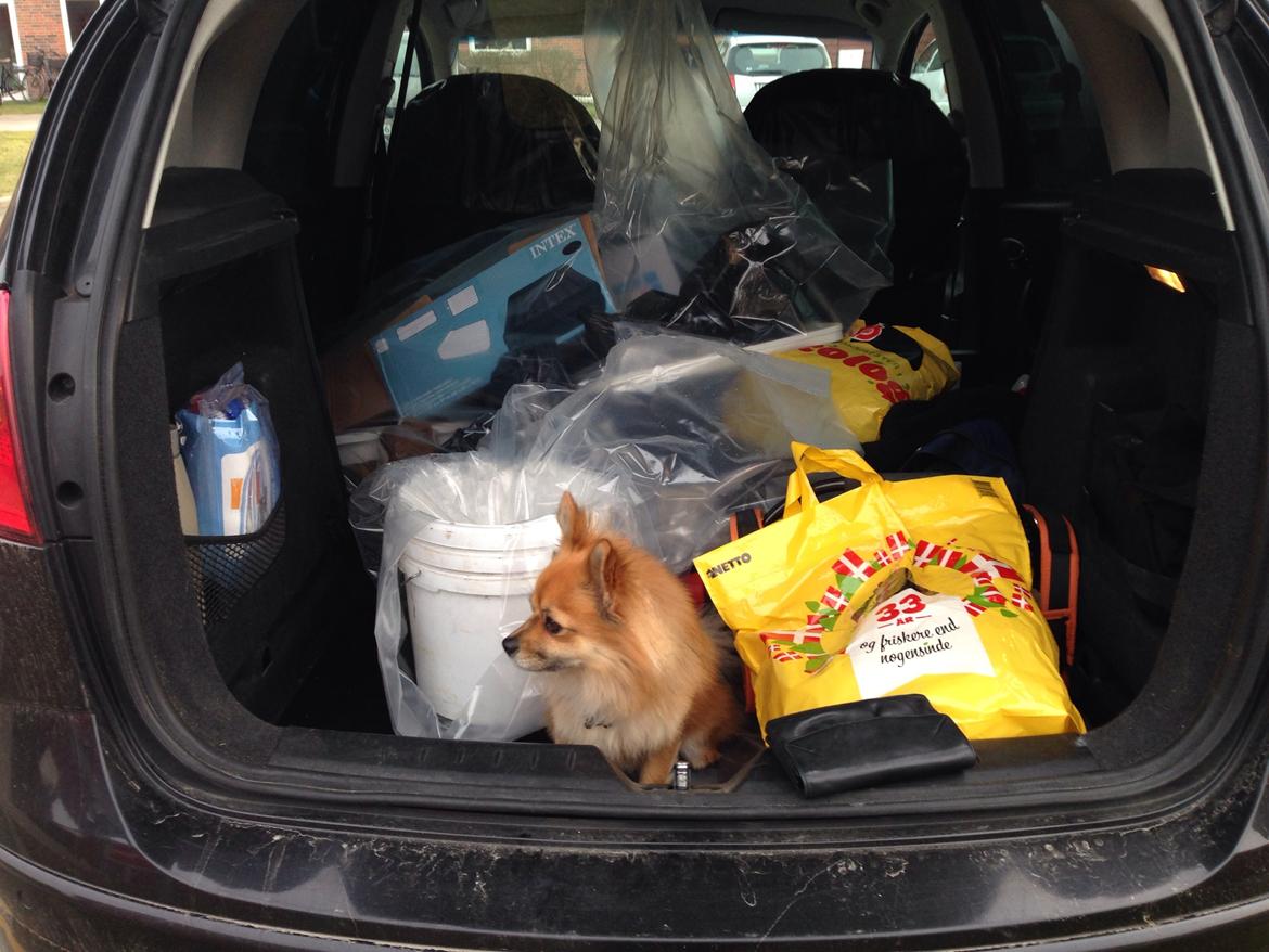 Blanding af racer Silas billede 21