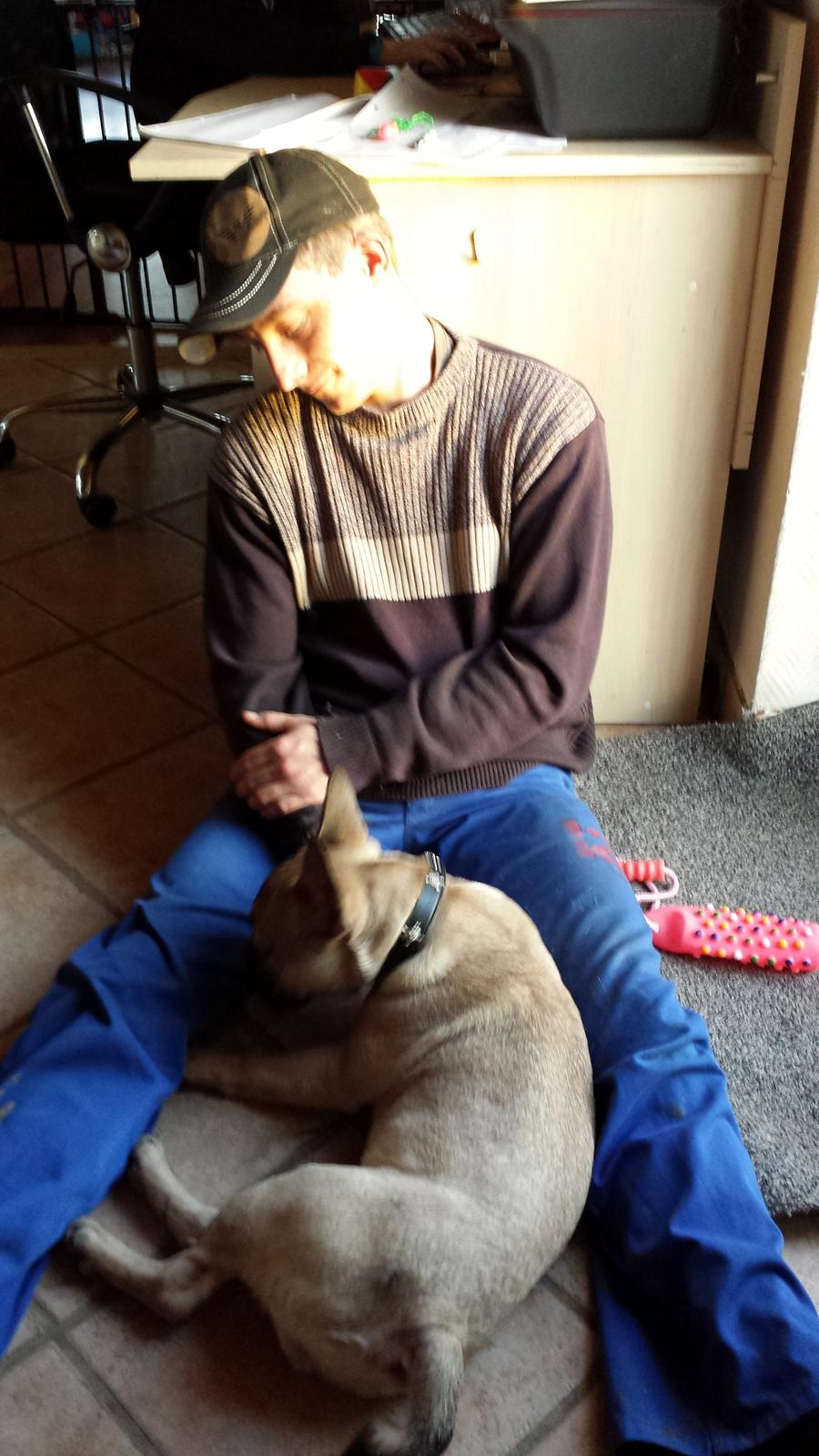 Fransk bulldog Remy - Hygge med "far" :) billede 5