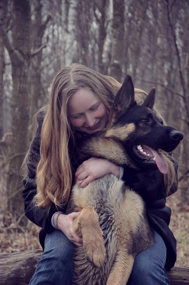 Schæferhund Pascha billede 17