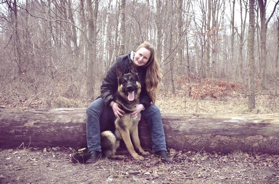 Schæferhund Pascha billede 20