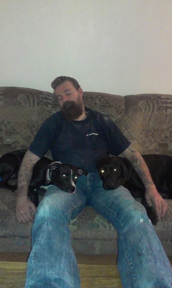 Blanding af racer Bella billede 3